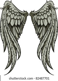 Vector wings illustration