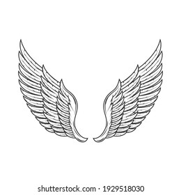 Vector Wings Illustration. A Pair Of Monochrome Bird Wings. Clipart Angel Wings Isolated On White Background