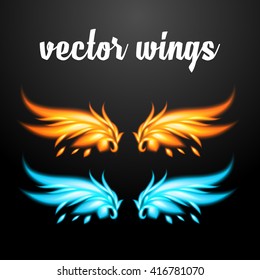 Vector wings - Phoenix. EPS 10