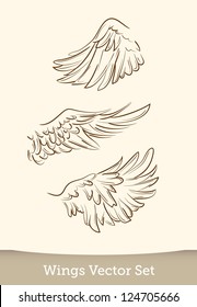  vector wings set