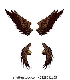  vector wings with two colors