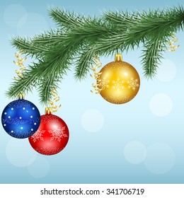 vector winter background with snowflakes and pine branches in blue tones