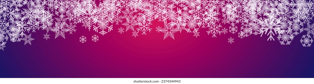 Vector Winter banner. A cold Christmas with snowfall and ice crystals banner on purple and pink