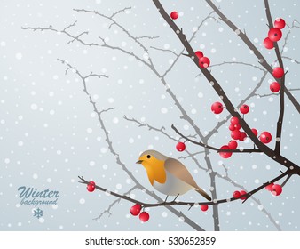 Vector winter card with bird sitting on bare branch with red berries