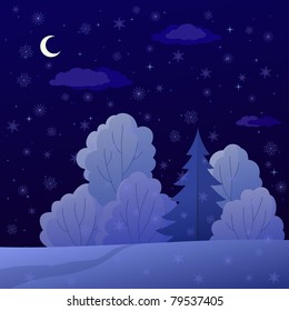 Vector, winter christmas landscape: night forest with coniferous and deciduous trees and snow