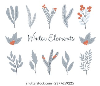 Vector de invierno clipart. Colección de elementos florales de invierno dibujados a mano.