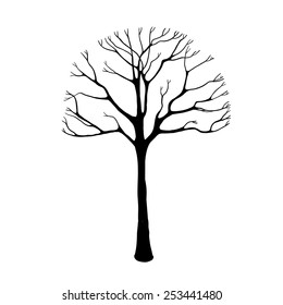 Vector winter or dead leafless maple tree silhouette isolated on white