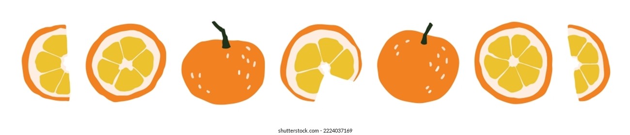 Vector invierno deliciosas naranjas y rodajas ilustraciones. Frutas naranjas pintadas a mano. Iconos de frutas planas y lindas