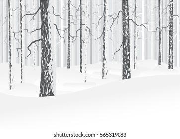 Vector winter forest with snow. Trees with bark. Gray and white colors. Abstract background. 