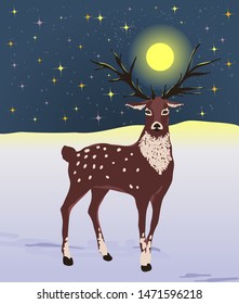 Vector winter illustration with a cute reindeer against a night landscape.