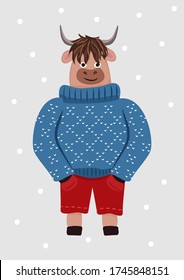 Vector winter illustration with a cute smiling bull. A bull is standing in a blue sweater. New Year 2021 according to the Chinese calendar. Template for greeting card, poster, packaging, print and web