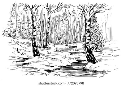 Vector winter landscape drawn by hand with a black handle and traced in a vector picture, with birches, Christmas trees and a stream, the snow melts.