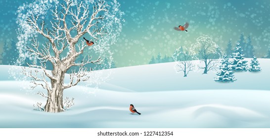 Vector winter landscape. Frosty tree, snow-covered hills and birds bullfinches