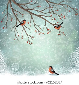 Vector winter landscape. Frosty tree and birds bullfinches