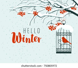 Vector winter landscape with inscription Hello Winter, with snow-covered branches, and red clusters of Rowan tree. Red bird in a cage hung on a branch in a flat style