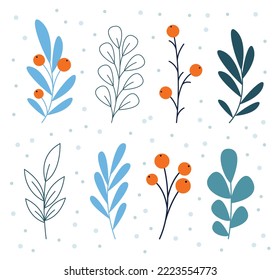 Vector winter leaves clipart with red berries in flat style. Collection of plants in cartoon style for winter holidays designs isolated on white background.