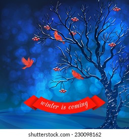 Vector Winter Night Card with Rowan berry tree, red birds, banner tape