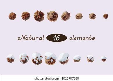 vector Winter pine cone, pinecone set. Snowy forest. Natural design elements. Cute wooden plant. Wild handdrawn christmas, xmas, new year, branches collection isolated on light background 