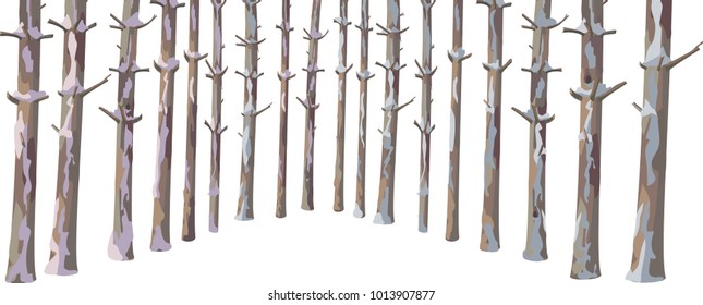 vector Winter pine tree trunks set. Snowy forest landscape creator. Natural design elements. Cute plant. Wild handdrawn christmas, xmas, new year, branches collection isolated on white background 