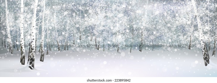 Vector winter snowy landscape, birch forest.