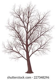 Vector winter tree isolated on white. Eps8. CMYK