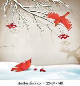 Vector winter vintage style landscape with birds, tree branch, snowdrifts, decorative plaster wall