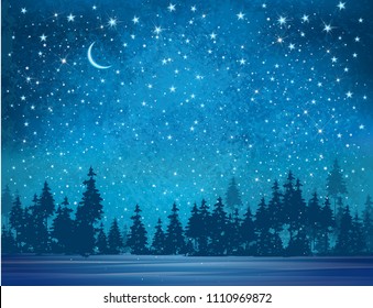 Vector winter wonderland background. Starry night sky and forest background.