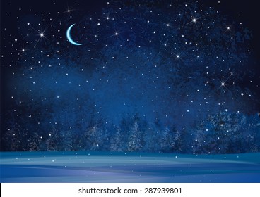 Vector winter wonderland night background.