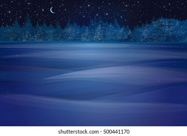 Vector winter wonderland night background.