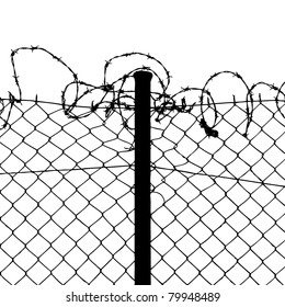 vector of wired fence with barbed wires on white background