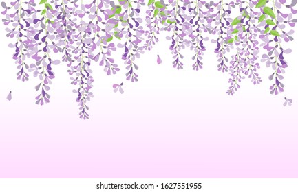 vector wisteria, purple flower in garden, wedding card, fuji flower svg