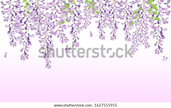 vector wisteria, purple flower in garden, wedding
card, fuji flower