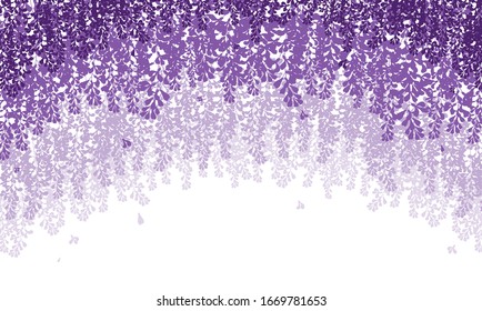 Vector Wisteria Tunnel Violet Pink And White Flower ,fuji Flower