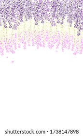 Vector Wisteria Tunnel Violet Pink And White Flower