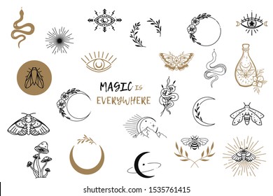 Vector Witch Magic Design Elements Set. Hand Drawn, Doodle, Sketch Magician Collection. Witchcraft Symbols. Perfect For Tattoo, Textile, Cards, Mystery