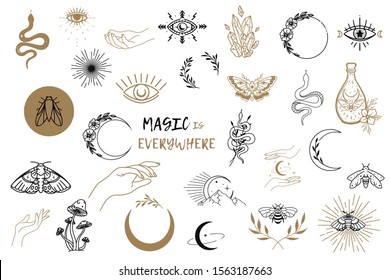 Vector witch magic design elements set. Hand drawn, doodle, sketch magician collection. Witchcraft symbols. Perfect for tattoo, textile, cards, mystery