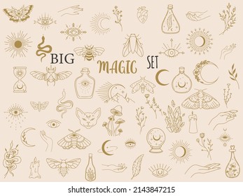 Vector witch magic design elements set. Hand drawn, doodle, sketch magician collection. Witchcraft symbols. Perfect for tattoo, textile, cards, mystery