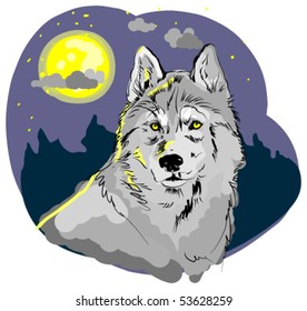 vector wolf closeup