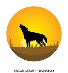 vector of wolf illustration, afternoon siluet.