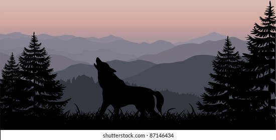 vector wolf in mountains