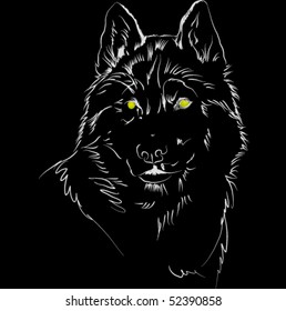 vector wolf on black