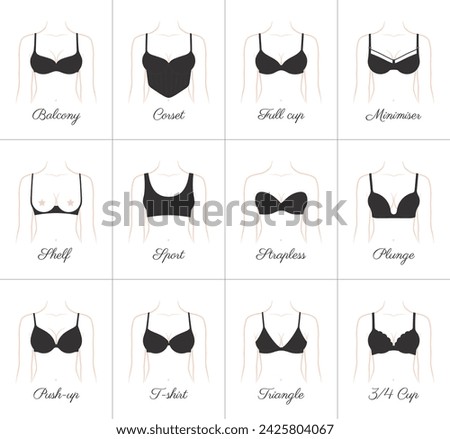 Vector Woman decollete with set all type black bra. Female girl tits closeup. Isolated on white background