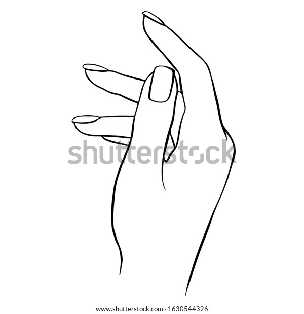 Vector Woman Hand Outline Illustration Isolated Stock Vector (Royalty ...