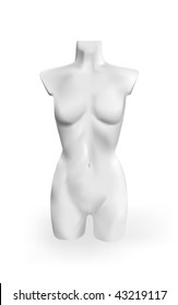 Vector Woman Torso