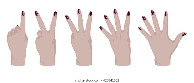 Vector woman's hand with red nail polish on the nails finger counting  1,2,3,4,5 on a white background