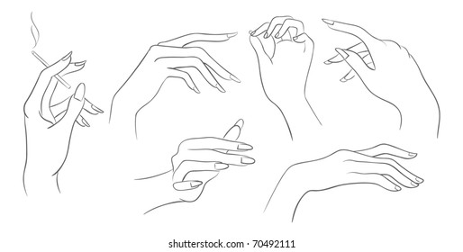 Vector women hands