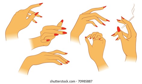 Vector women hands