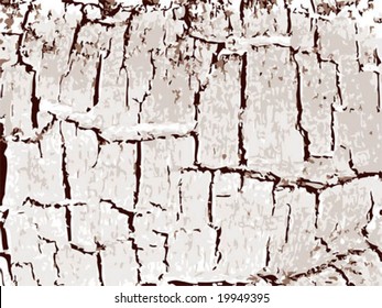 vector wood background