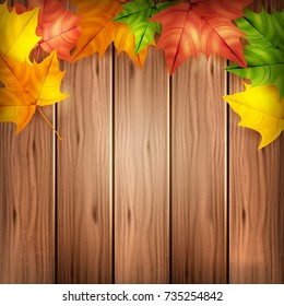 Vector wood brown background with autumn leaves, colorful fall illustration