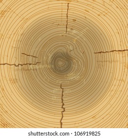  Vector wood cross section background